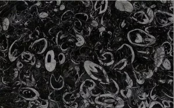 Seashell flowers Marble